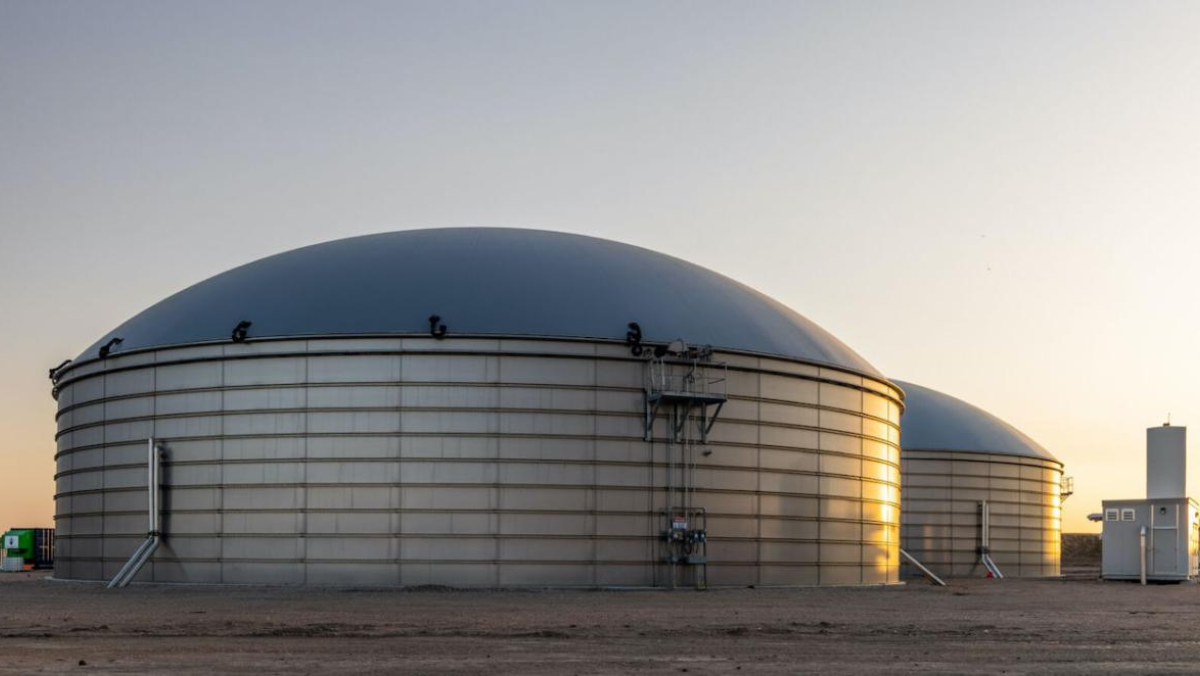 The Race to Own Waste: Inside the Biogas Power Play