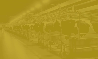 DAIRYCON USA 2026