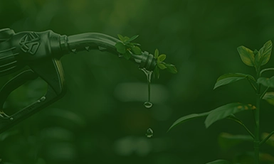 Biofuels Congress, USA 2025